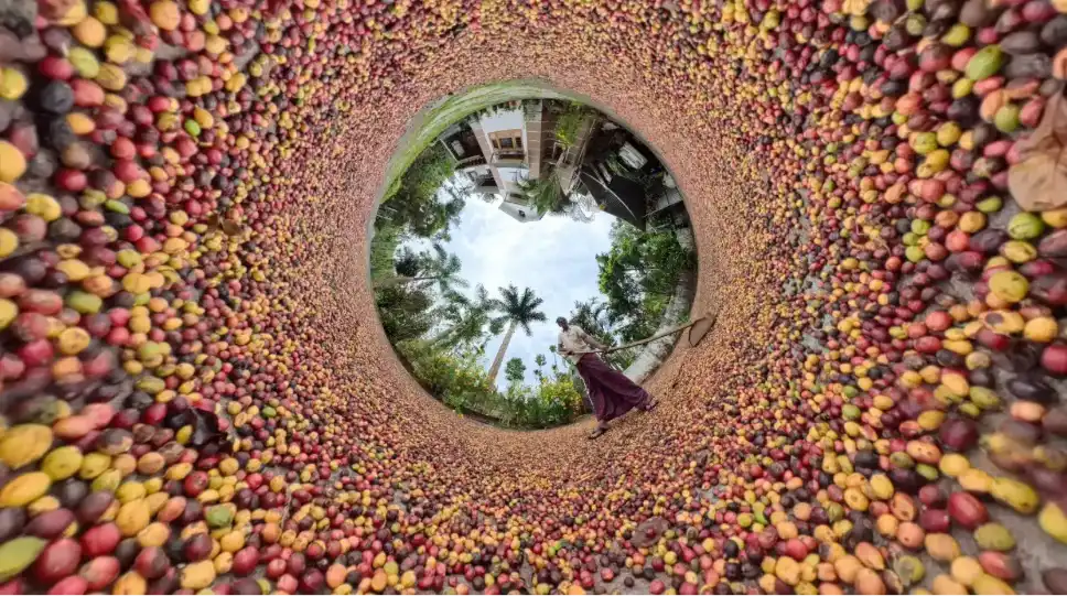 Immersive 360 virtual tour experience showcasing natural surroundings and spatial depth for interactive exploration